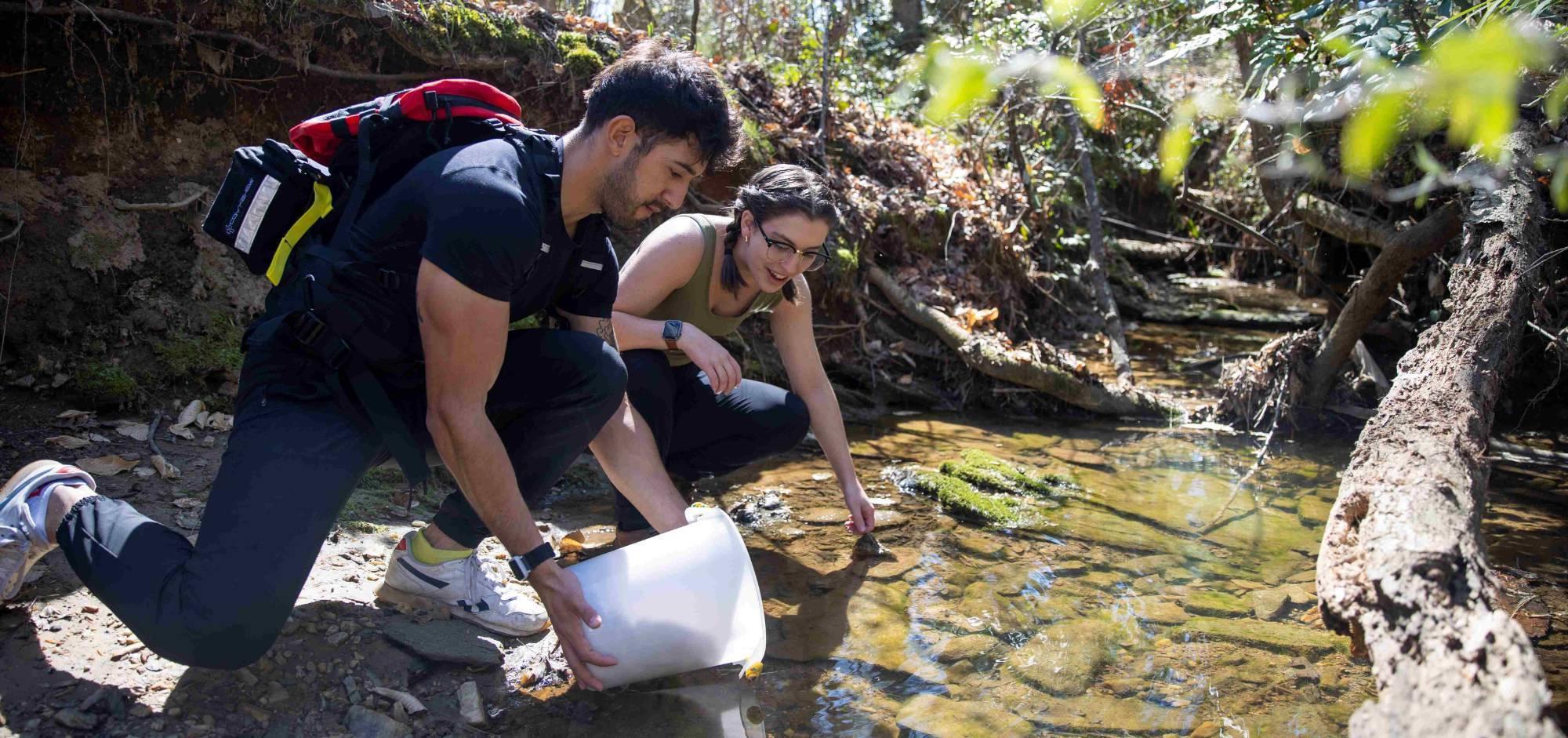 Students conducting research outside on campus